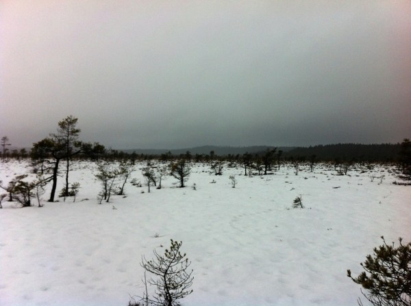 Mark för långhållsskytte sökes