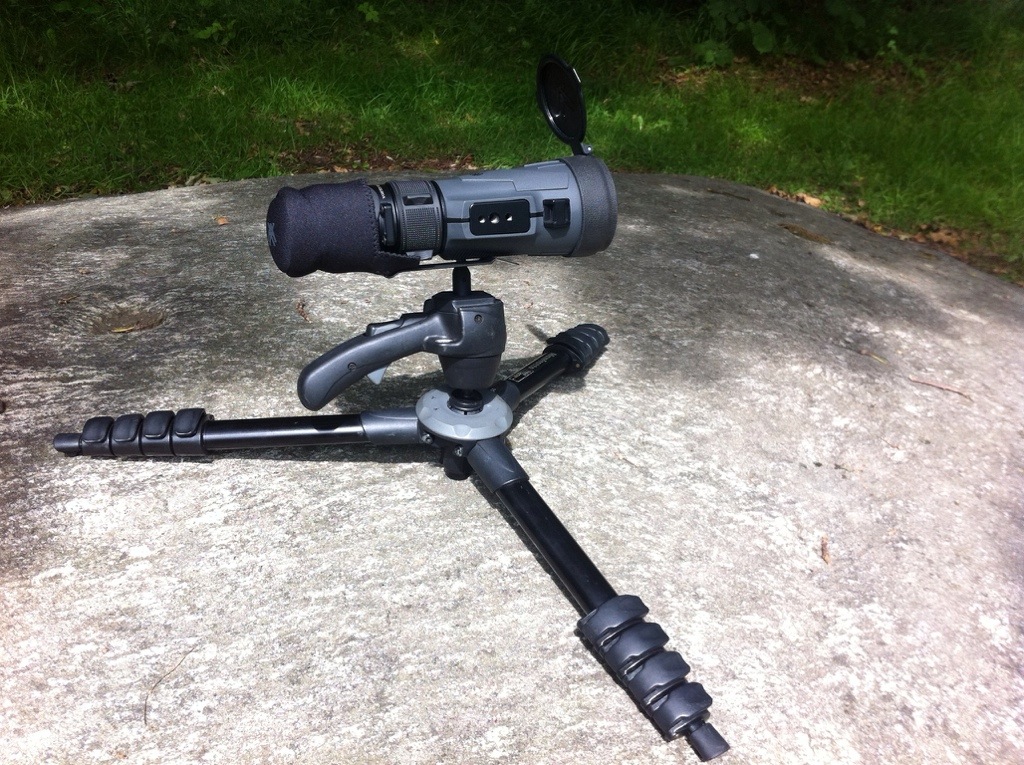 Here on a low tripod 